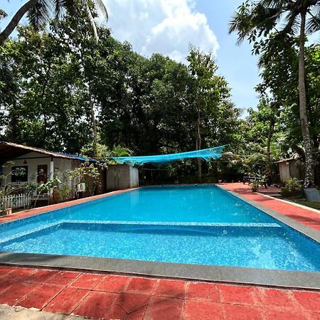 King Villa Goa Palolem Exterior foto