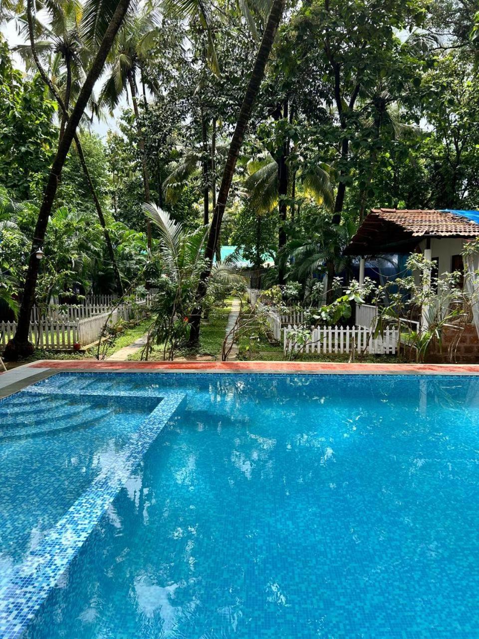 King Villa Goa Palolem Exterior foto